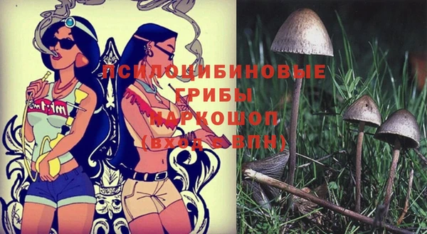 мет Верхний Тагил