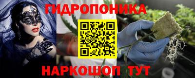 наркотики Берёзовский