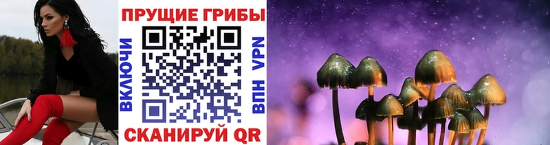 Галлюциногенные грибы мицелий  где купить   Кизилюрт 